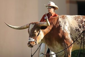 Read more about the article Bullfighter Celebrates 102nd Birthday